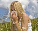 Herbal Remedies For Hay Fever
